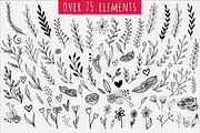 Hand Drawn Floral Wreaths + Elements, an Illustration by Anna Freya (Thumbnail 3 of 8)