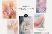 Organic Blurry Floral Backgrounds, a Background Graphic by Grace Noboa Illustrations (Thumbnail 7 of 13)