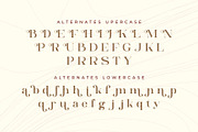 Dalgena | An Elegant Display Serif, a Serif Font by Andrimada Creative (Thumbnail 12 of 13)