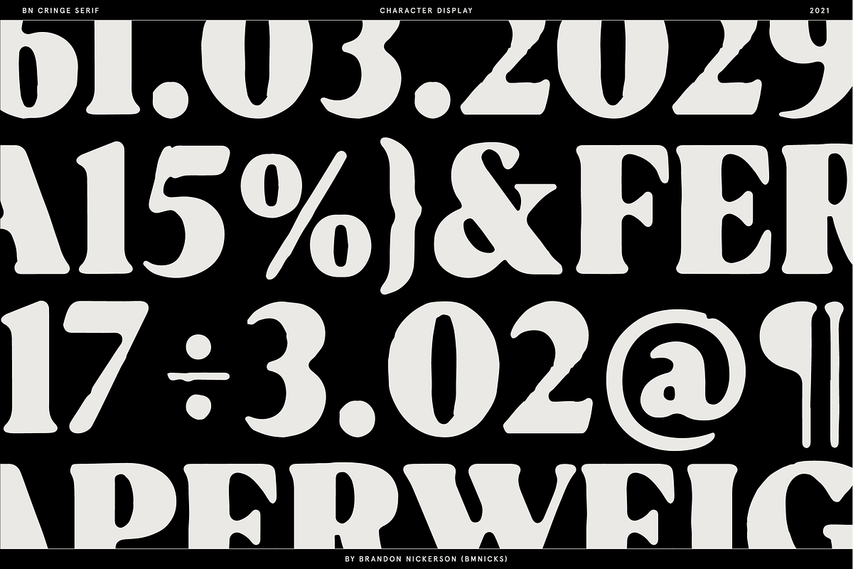 Cringe Serif, a Serif Font by Bnick (Photo 5 of 13)