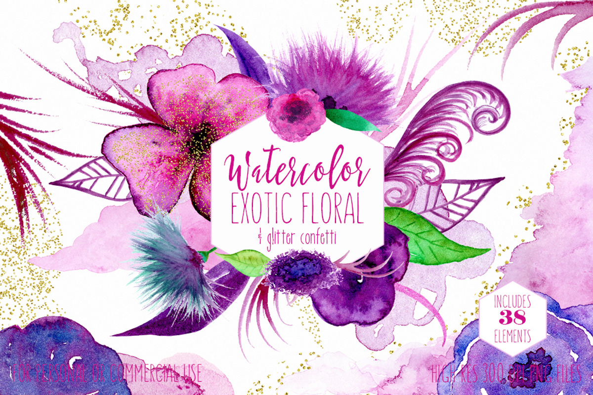 Exotic Florals & Feathers, an Illustration by ClipartBrat Graphics (Photo 1 of 6)