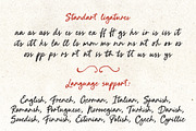 Bold script font brush Breakfast in, a Script Font by TD fonts (Thumbnail 9 of 12)