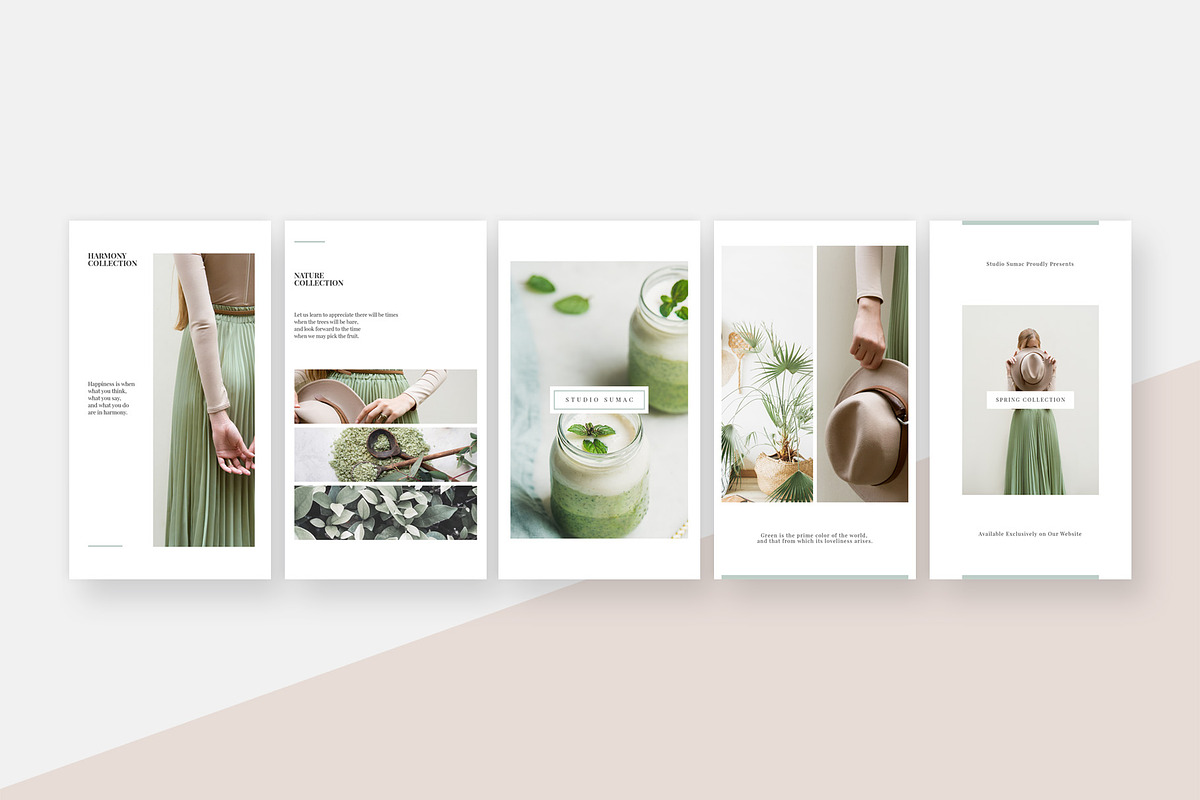 Ginkgo Animated Instagram Stories, a Social Media Template by Studio Sumac (Photo 3 of 6)