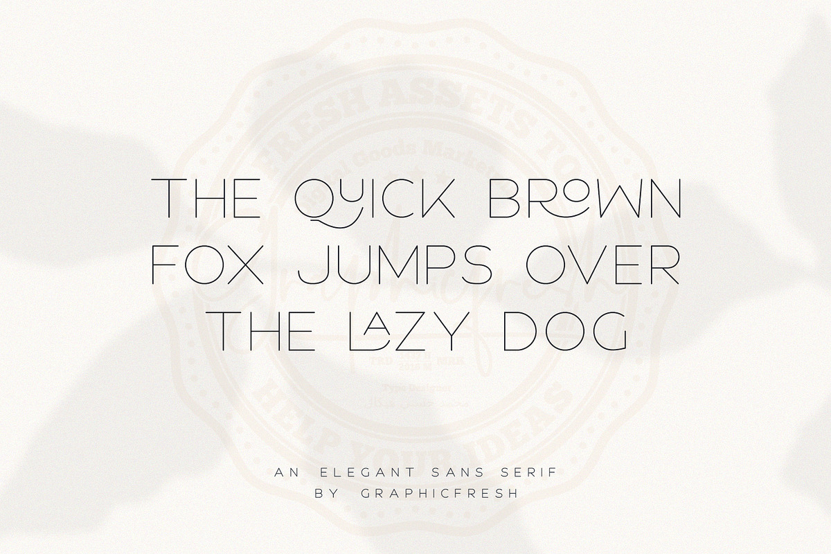 Roger - An Elegant Sans Serif preview 4