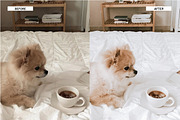 Lightroom Presets Home & Interiors, an Action Add-On by Best Lightroom Presets (Thumbnail 8 of 19)