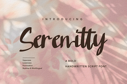 Serenitty - Modern Script fonts