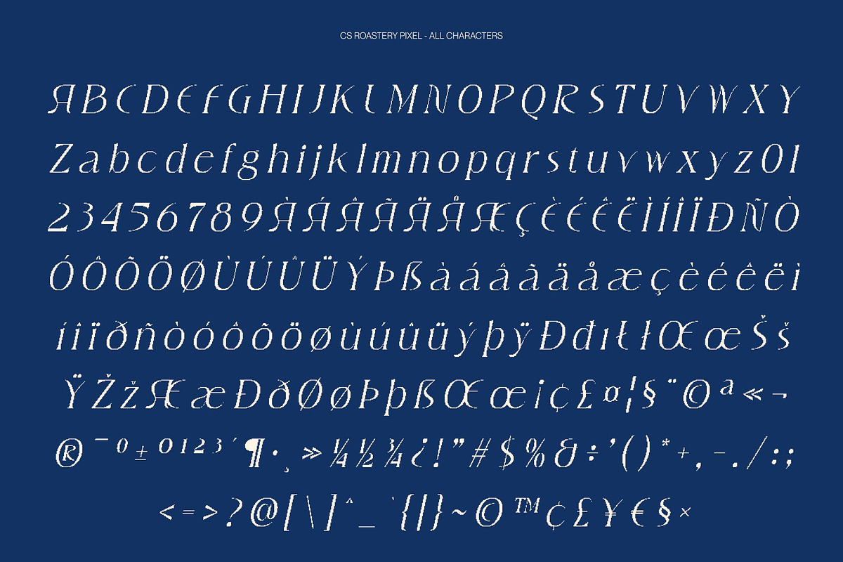 CS Roastery Pixel, a Serif Font by Craft Supply Co. (Photo 8 of 8)