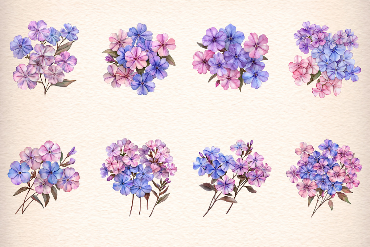 watercolor phlox cluster flowers, an Illustration by GatewayDesign (Photo 2 of 9)