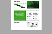 Project Brief Template Layout, a Brochure Template by MightyDesign (Thumbnail 5 of 8)