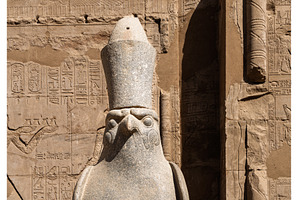 Detail of the statue of Horus by the, an Architecture Photo by Backyard Stock