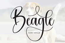 Beagle | Script Font