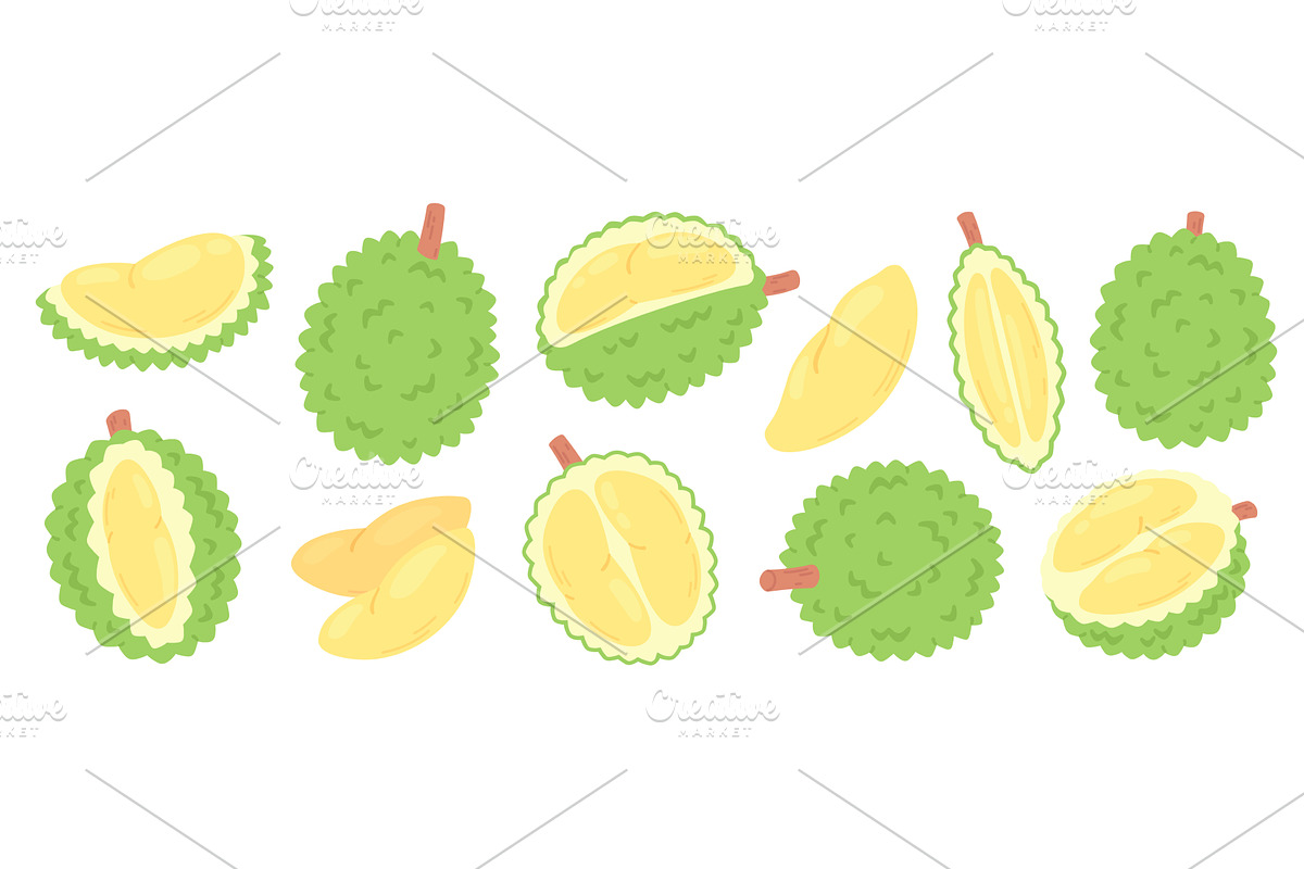 Durian fruits. Cartoon durian, a Food Illustration by LadadikArt