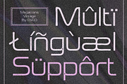 Megatrans Vintage, a Sans Serif Font by Craft Supply Co. (Thumbnail 8 of 8)
