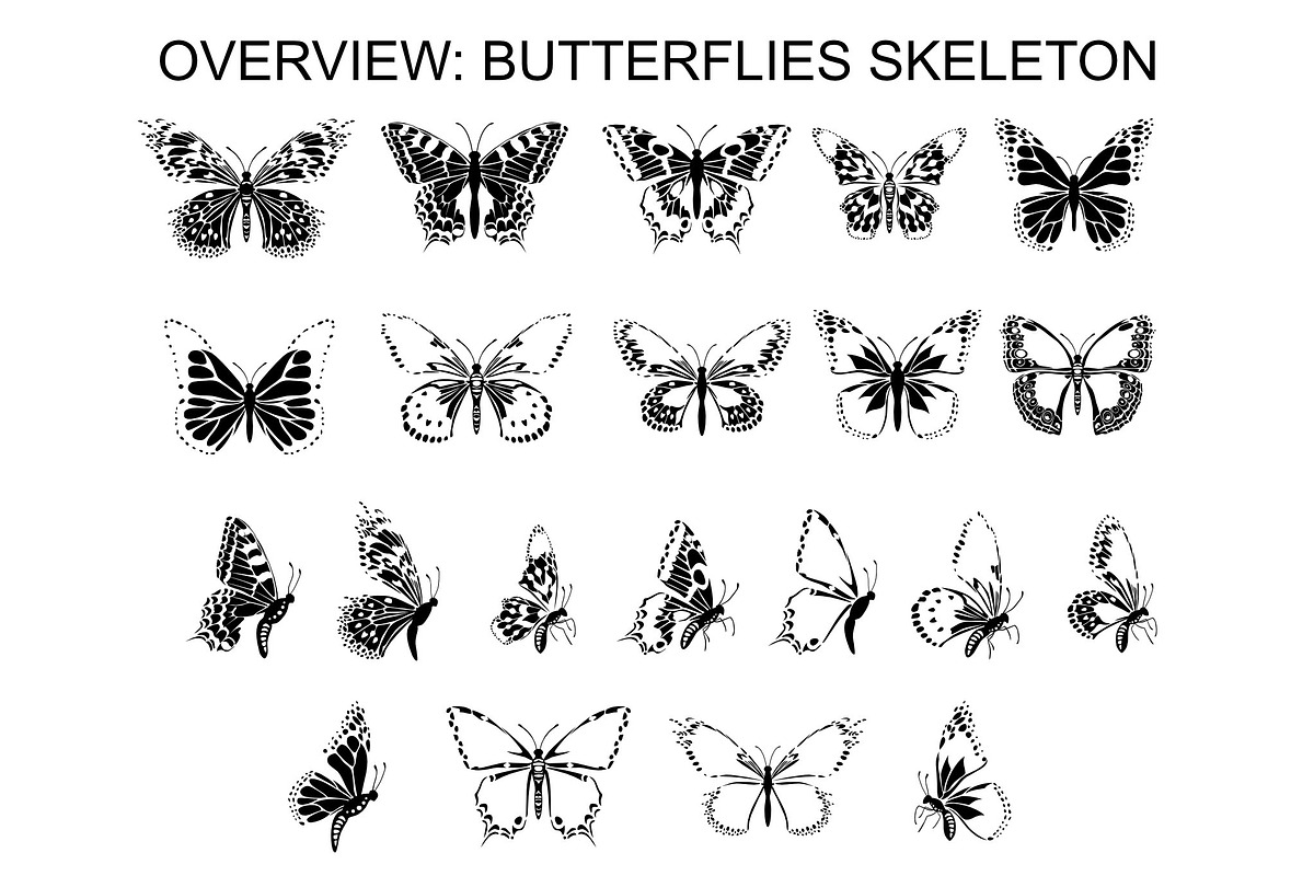 Wings & Butterfly(SVG, PNG Brushes), a Brush Add-On by xresch (Photo 7 of 22)