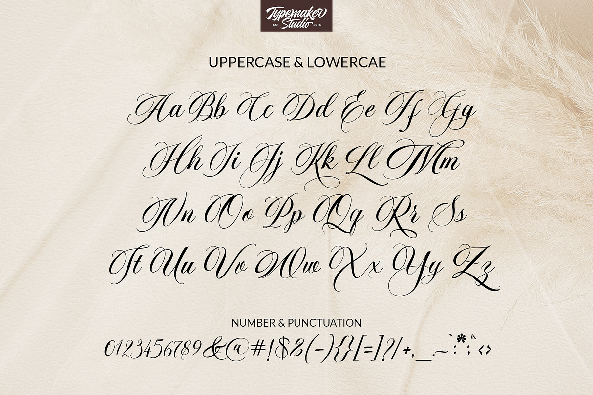 Merline Script, a Script Font by TypeMakers (Photo 11 of 12)