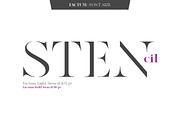 Factum font family, a Serif Font by Fontop (Thumbnail 9 of 12)