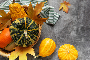 Assorted pumpkins gourds and autumn leaves celebrating fall harv, a Food & Drink Photo by Olena Rudo