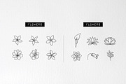 60 Plant & Floral Icons - Flower, an Outline Icon by Hatch Design Workshop (Thumbnail 5 of 11)