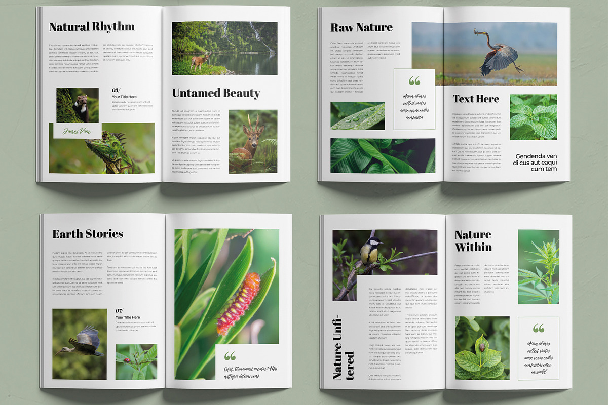 Nature Magazine Template, a Magazine Template by MightyDesign (Photo 3 of 6)