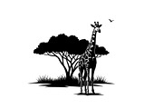 Giraffe Safari Silhouette Vector Bun, an Illustration by Designer_Momina (Thumbnail 9 of 51)