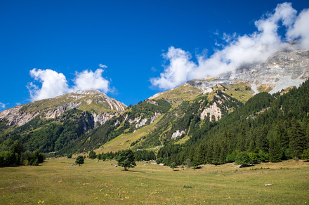 Mountain and pastures landscape in French alps, a Background Photo by GoodGoods