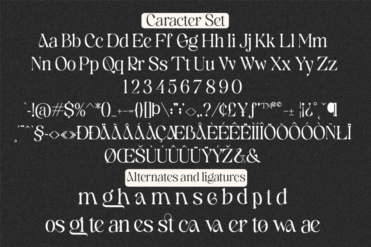 Giloste, a Serif Font by Natural Ink Studio (Photo 11 of 11)