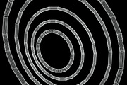 30 Wireframe Vectors, a Decorative Illustration by DesignerCandies (Thumbnail 3 of 12)