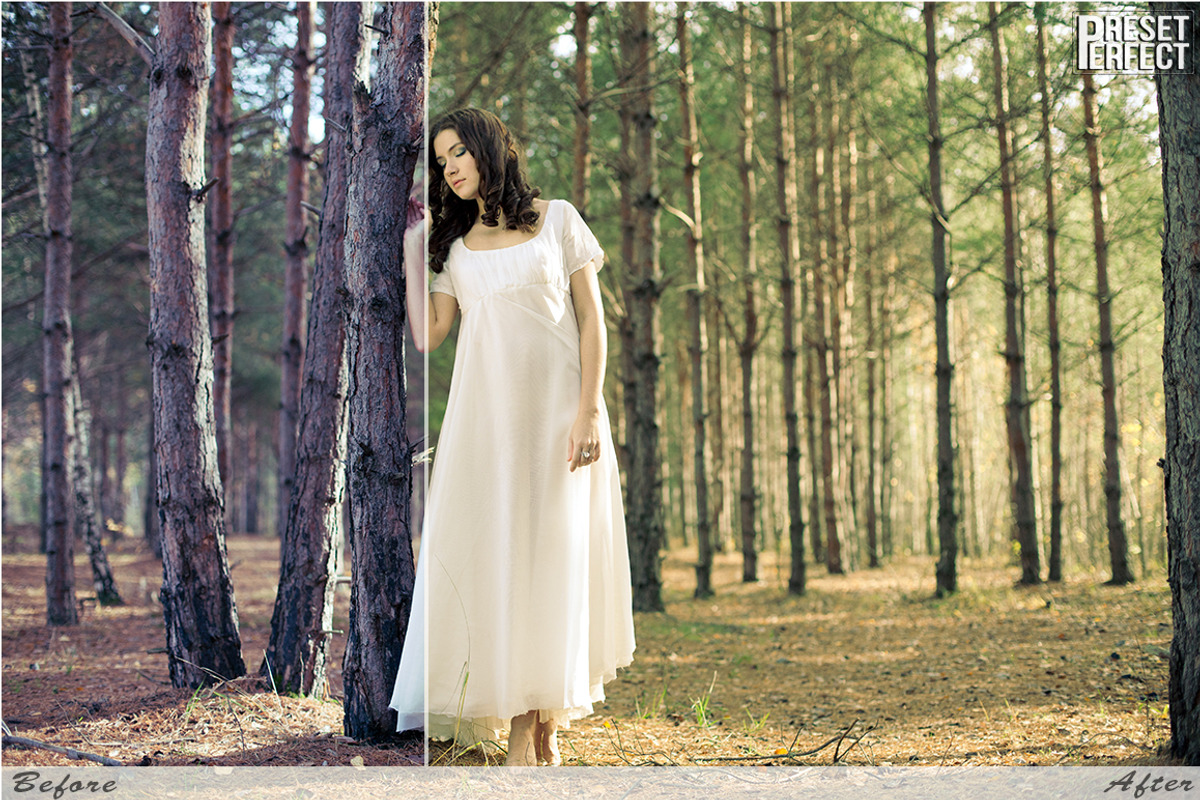 Cross Processing Lightroom Presets preview 2