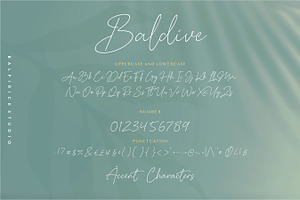 Baldive - A Signature Monoline Font