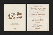 Pastry Library - Vintage Script Font, a Script Font by Typeparties (Thumbnail 8 of 9)