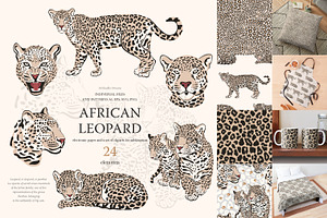 African leopard