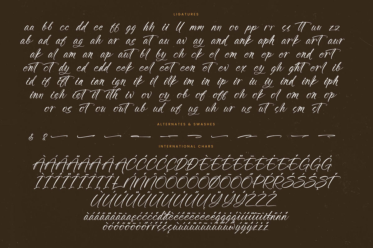 Awakening Gallop Modern Brush Font, a Script Font by stylishtype.co (Photo 18 of 20)