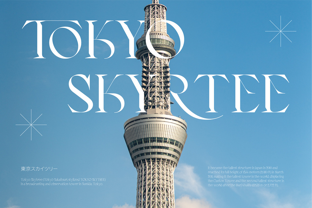 AO Leoney - Display Font Family, a Serif Font by OwunStudio (Photo 19 of 22)
