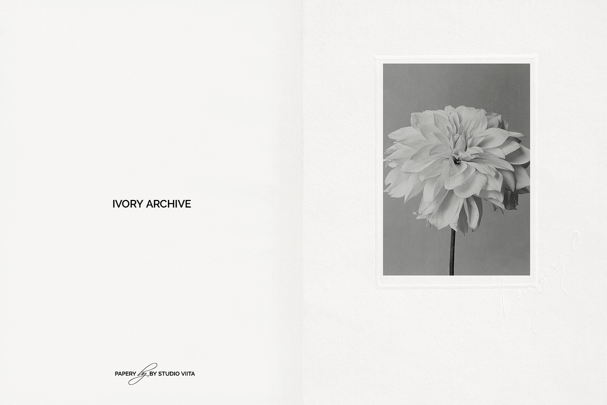 Vintage Scan Borders And Textures⸻3, a Texture Graphic by Studio Viita (Photo 5 of 11)