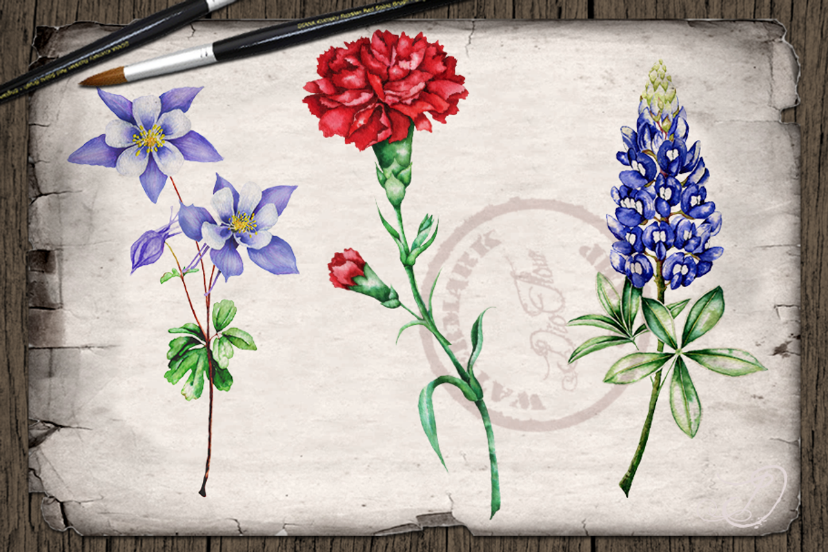 US State Flowers Part 5 Illustration, an Illustration by DioFlow (Photo 4 of 4)
