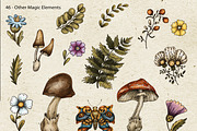 Poison Garden Witchcraft Clipart, an Object Illustration by Belusuab (Thumbnail 10 of 16)