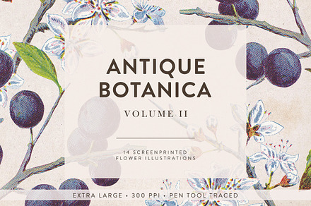 Vintage Flowers Vol.02 - Extra Large