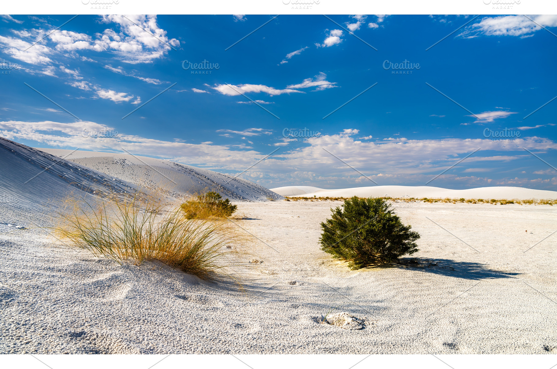 White Sands National Park landscape, a Nature Photo by Leonid Andronov