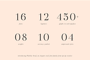 Flatline Serif Complete - 16 fonts, a Serif Font by Up Up Creative (Thumbnail 6 of 13)