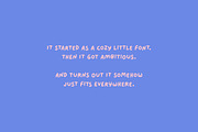 Blanket Burrito — Handwritten Font, a Handwritten Font by Font Buyers Anonymous (Thumbnail 11 of 21)