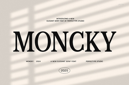 Moncky Modern Serif Font