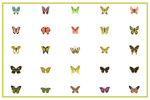 50 Butterfly Cute Icon