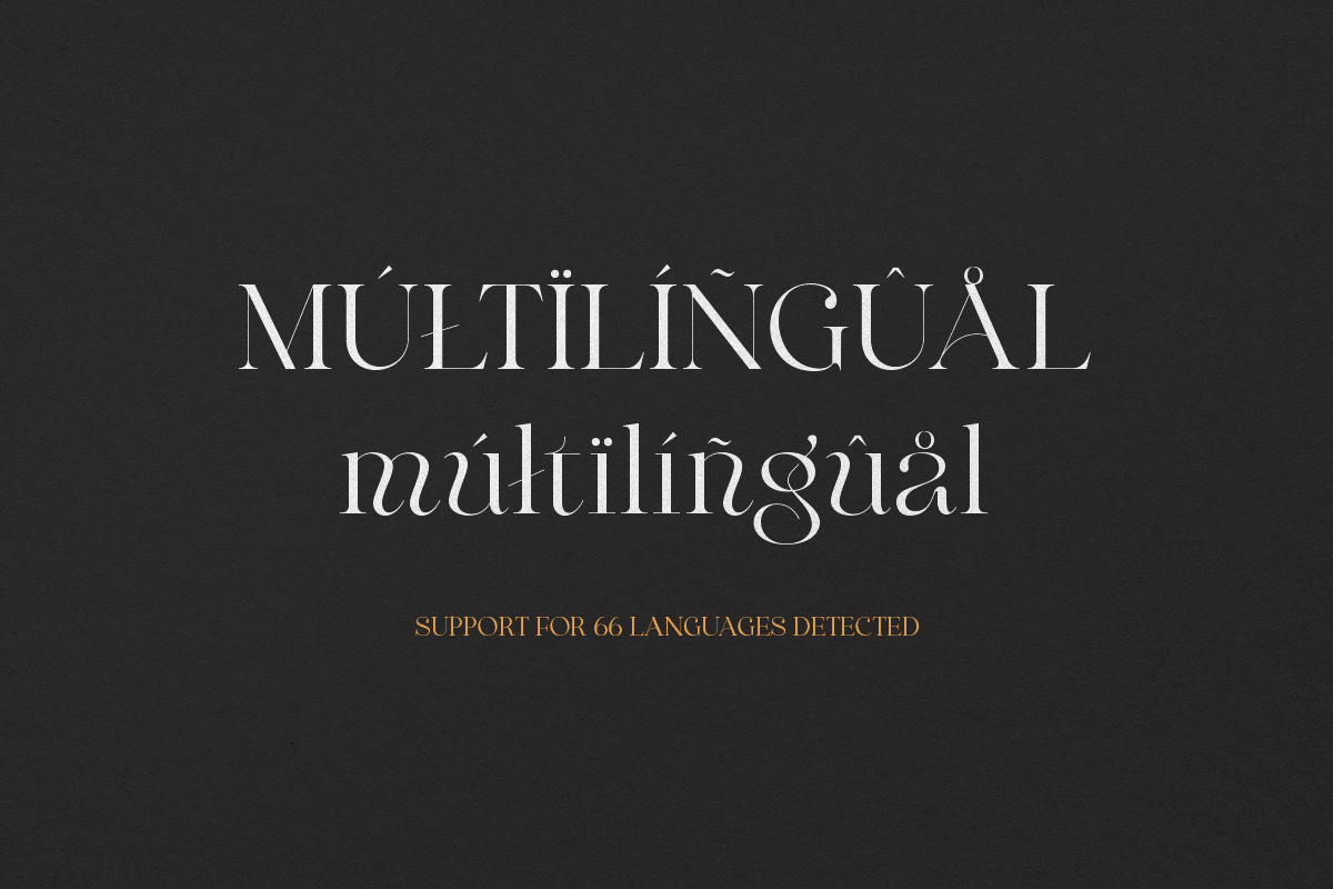 Maglite - Modern Ligature Serif, a Serif Font by Sarid Ezra (Photo 11 of 13)