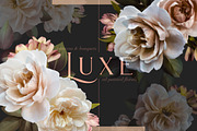 Luxe Oil Paint Floral Graphics, an Illustration by Eclectic Anthology (Thumbnail 1 of 17)