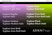 Segikan | SALE 60% OFF, a Serif Font by Areatype (Thumbnail 4 of 16)