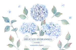 Watercolor Hydrangea Flowers Clipart