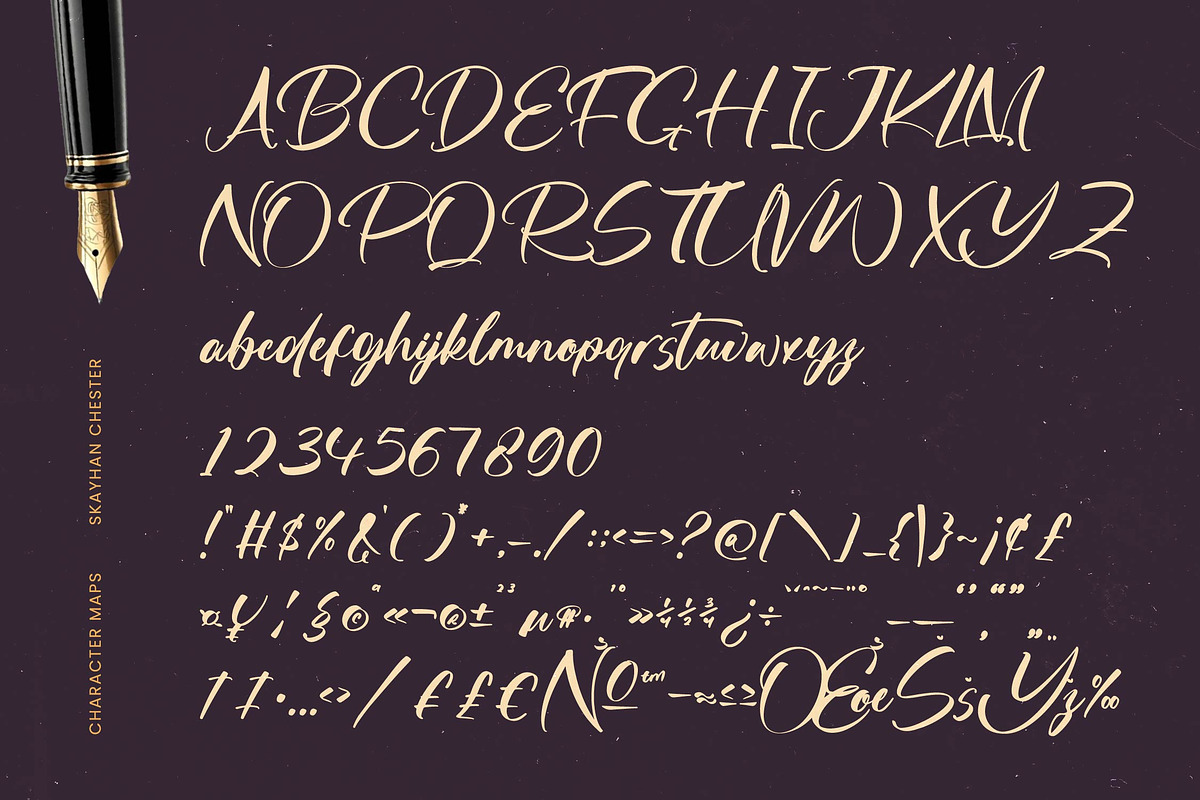 Skayhan Chester Bold Brush Font, a Script Font by Letterena Studios Script (Photo 17 of 20)