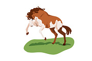 Horses, equine animals running set, an Animal Illustration by Good Studio (Thumbnail 7 of 13)