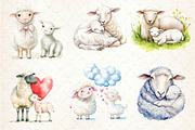 Watercolor Lamb & Ewe Love Clipart, an Illustration by Dream Creation (Thumbnail 2 of 6)