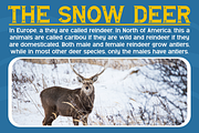 Subwinter Holiday Font, a Serif Font by MaikoHatta (Thumbnail 5 of 7)
